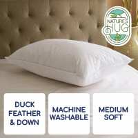 Read Pillow World Reviews