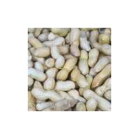 Read Brinvale Bird Foods Reviews