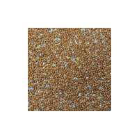 Read Brinvale Bird Foods Reviews