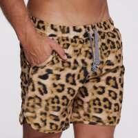 Read DUKiES C0 Reviews