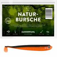 Lesen Zanderfang Bewertungen