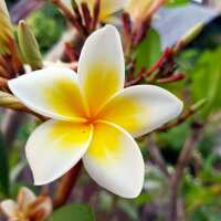 Lesen Naturkosmetik-Werkstatt Bewertungen