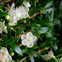 Lesen Naturkosmetik-Werkstatt Bewertungen