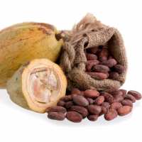 Lesen Naturkosmetik-Werkstatt Bewertungen