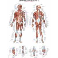 Read MediPreventie Reviews