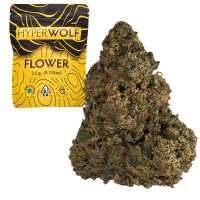 Read Hyperwolf Reviews