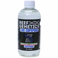 Read Top Shelf Aquatics Reviews