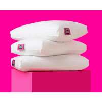 Read DUVET HOG LTD Reviews