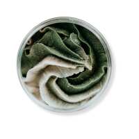 Read Scentish Reviews