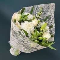 Read Roses Are Red Reviews