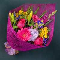 Read Roses Are Red Reviews