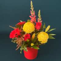 Read Roses Are Red Reviews