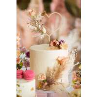 Læs Festtema Anmeldelser