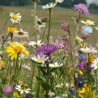 Read Connecting to Nature Reviews