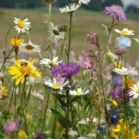 Read Connecting to Nature Reviews