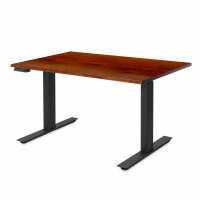 Read UpDown Desk Reviews
