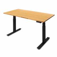 Read UpDown Desk Reviews