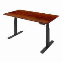 Read UpDown Desk Reviews