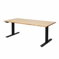 Read UpDown Desk Reviews