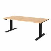 Read UpDown Desk Reviews