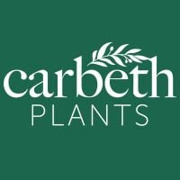 Read Carbeth Plants Reviews