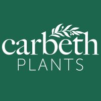 Read Carbeth Plants Reviews