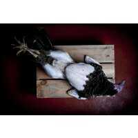 Read Salter & King Reviews