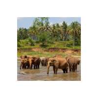 Lesen FairAway Travel GmbH Bewertungen