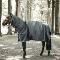 Read Discount Equestrian UK Ltd Reviews