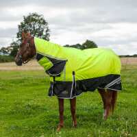 Read Discount Equestrian UK Ltd Reviews