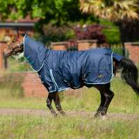 Read Discount Equestrian UK Ltd Reviews