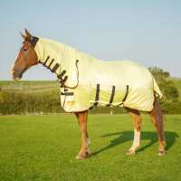 Read Discount Equestrian UK Ltd Reviews