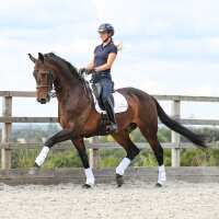 Read Discount Equestrian UK Ltd Reviews