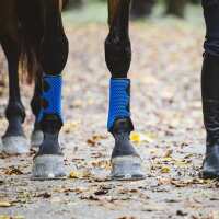 Read Discount Equestrian UK Ltd Reviews