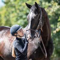 Read Discount Equestrian UK Ltd Reviews