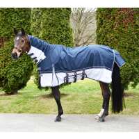 Read Discount Equestrian UK Ltd Reviews