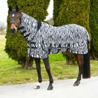 Read Discount Equestrian UK Ltd Reviews