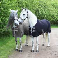 Read Discount Equestrian UK Ltd Reviews