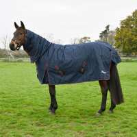 Read Discount Equestrian UK Ltd Reviews