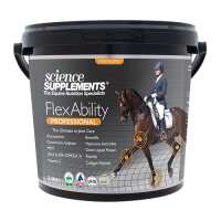 Read Discount Equestrian UK Ltd Reviews