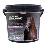 Read Discount Equestrian UK Ltd Reviews