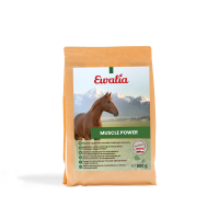 Lesen Ewalia Bewertungen