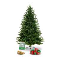 Lesen holz4home GmbH Bewertungen