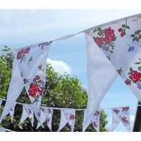Read The Cotton Bunting Reviews