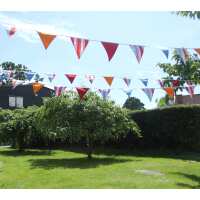 Read The Cotton Bunting Reviews