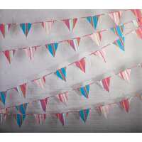 Read The Cotton Bunting Reviews