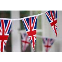 Read The Cotton Bunting Reviews