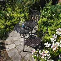 Read Lazy Susan Reviews
