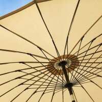 Read Lazy Susan Reviews