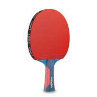 Read JOOLA Europe Reviews